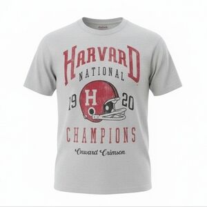 Veritas Gray and Red Graphic T-Shirt